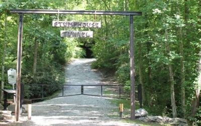 Stumphouse Park Offers Outdoor Activities for Everyone