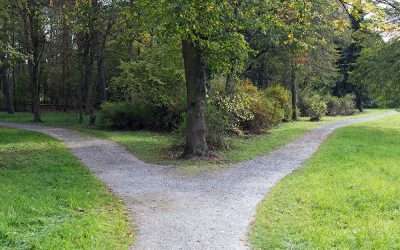 Taking the Fork in the Road