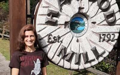 Digital Inclusion at the Hagood Mill Historic Site:  The Power of Networking