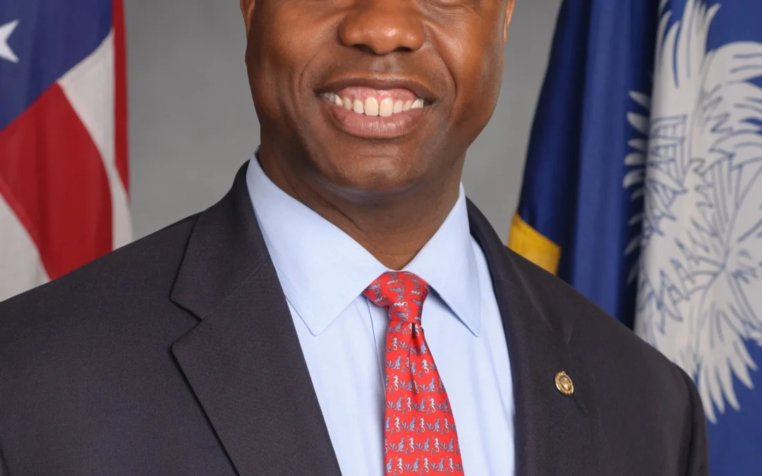 TATT Chat Recap, December 3, 2020