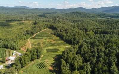 Upstate Forever – Working to Balance Growth and Natural Resource Protection