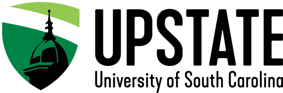 small upstate new logo